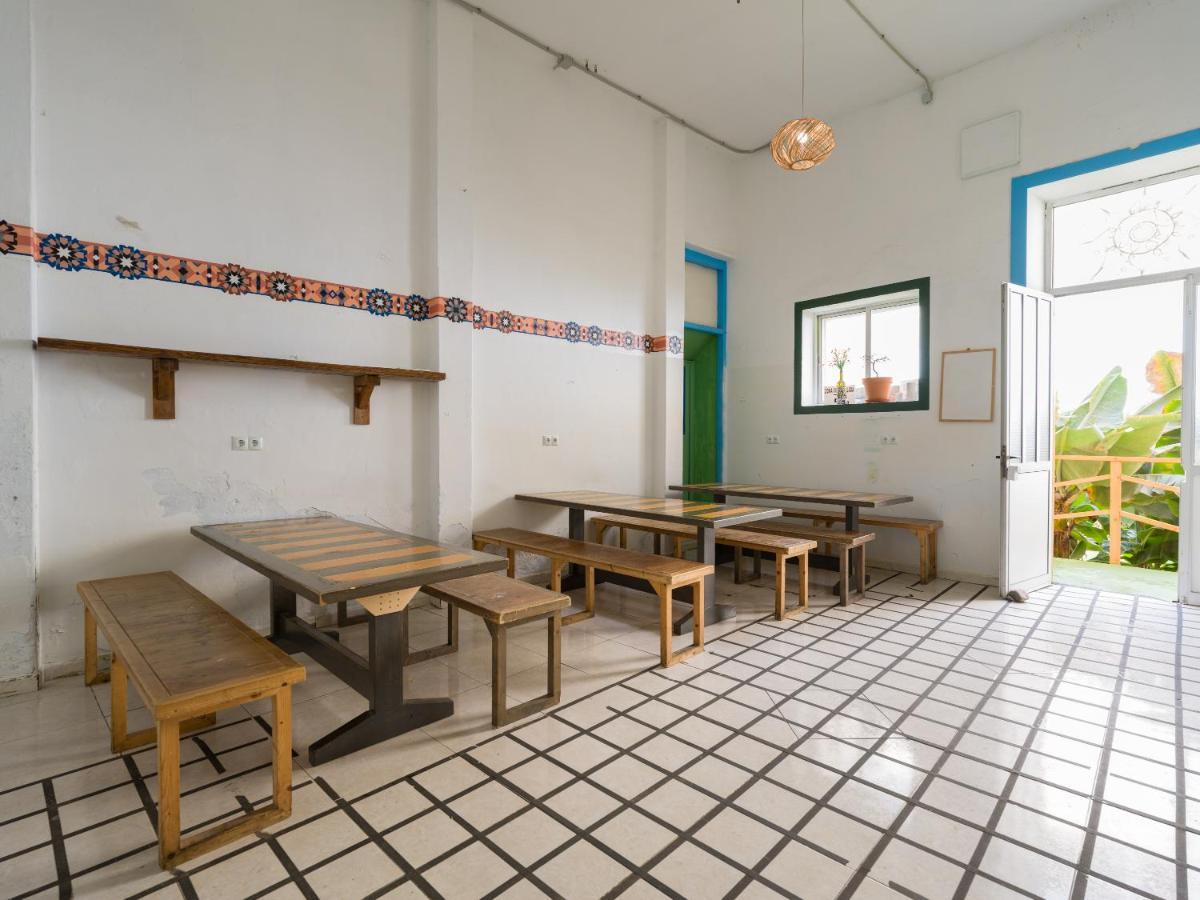Jungle House Hostel Лас Палмас де Гран Канария Екстериор снимка