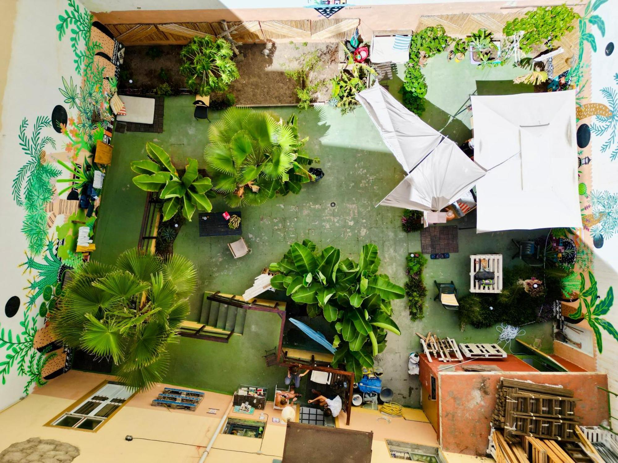 Jungle House Hostel Лас Палмас де Гран Канария Екстериор снимка